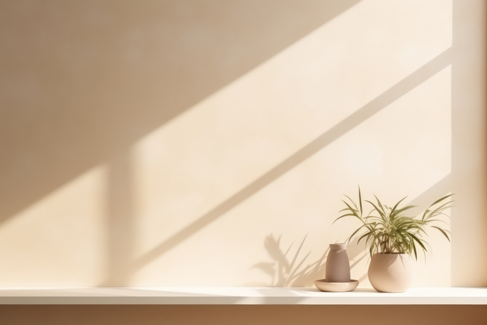 Plante i vase, solen skinner
