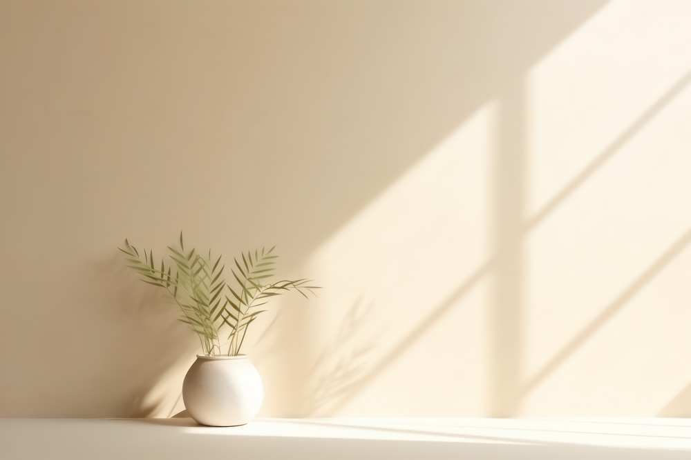 Plante i vase, solen skinner